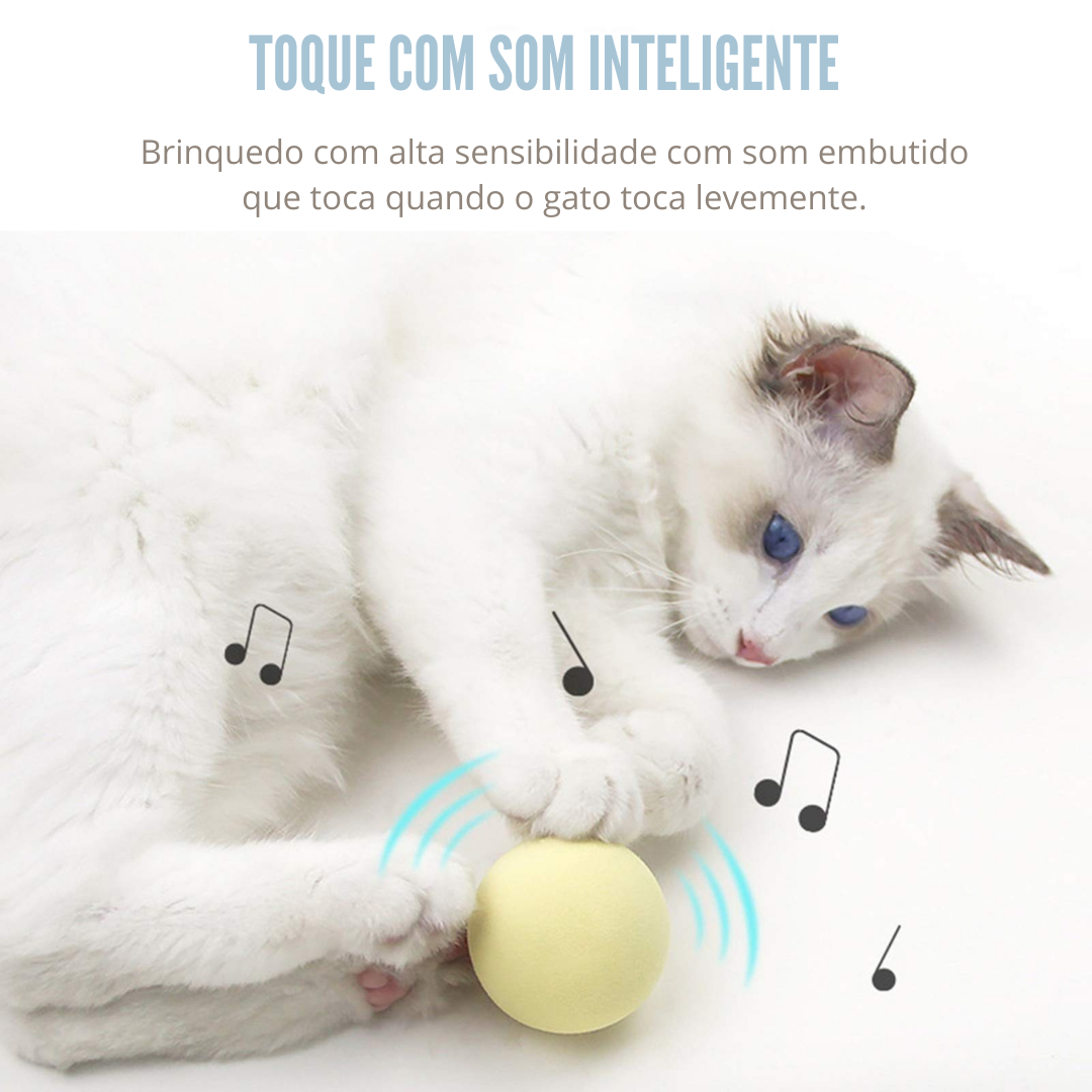 Training Toy Brinquedo de Treinamento que Estimula a Inteligencia dos Gatos.